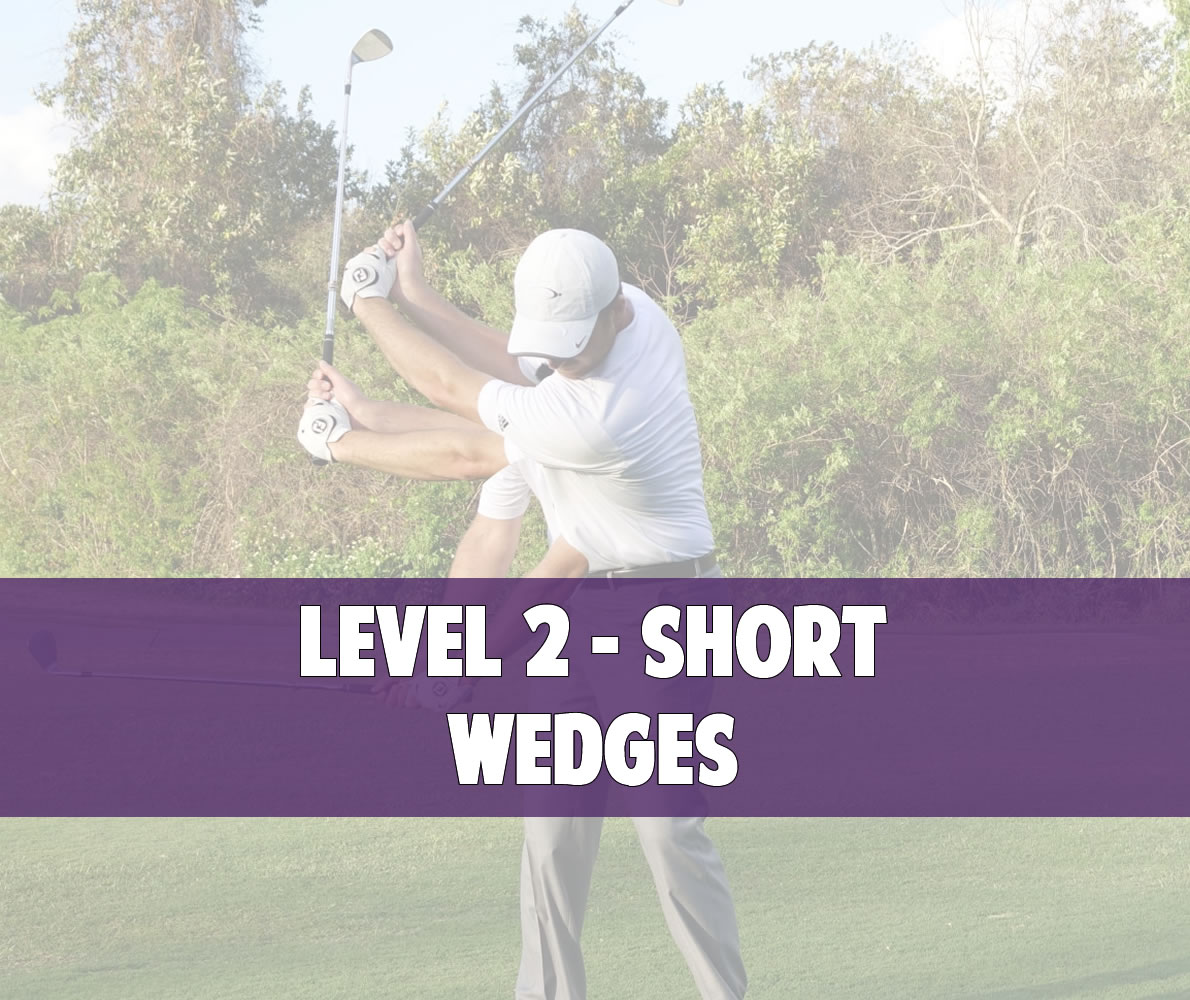 Level 2 Short Wedges • Top Speed Golf