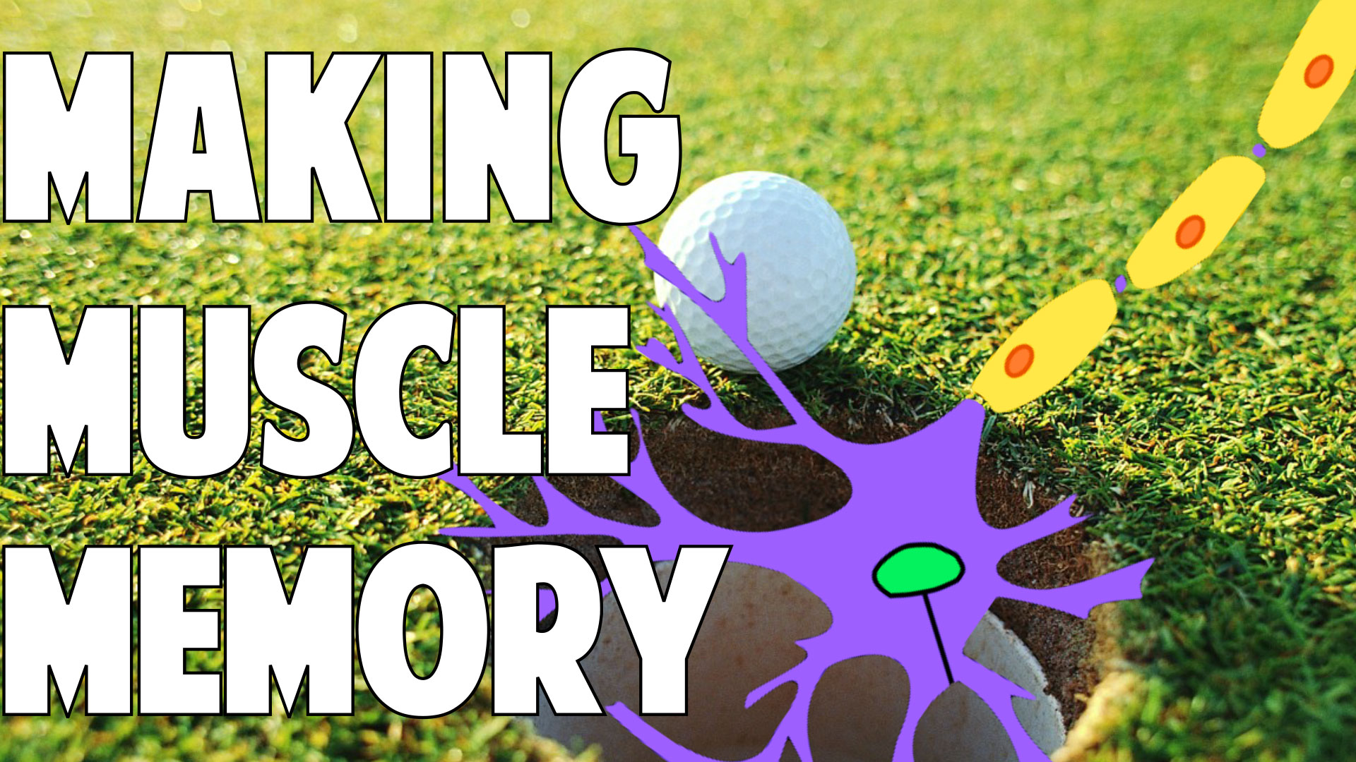 How Your Brain Makes Muscle Memory • Top Speed Golf