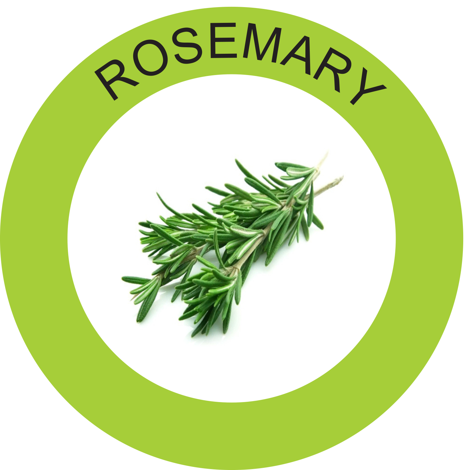 Rosemary Top Speed Solutions