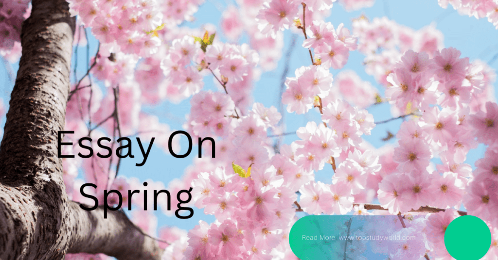 Essay On Spring 200 Words & 500 Words Top Study World