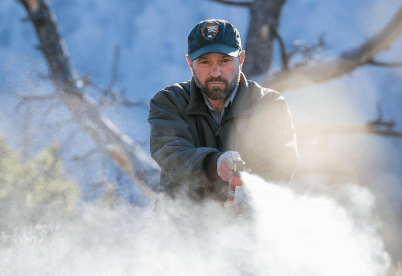 Top 10 Best Bear Sprays & Repellents for 2020 Best Bear Spray for Hiking