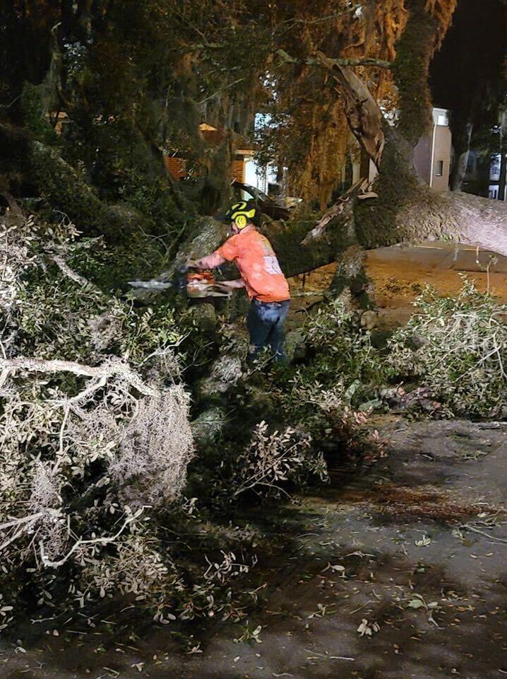 Emergency Mossy Live Oak Tree Removal in Gainesville by Top Tier Tree
