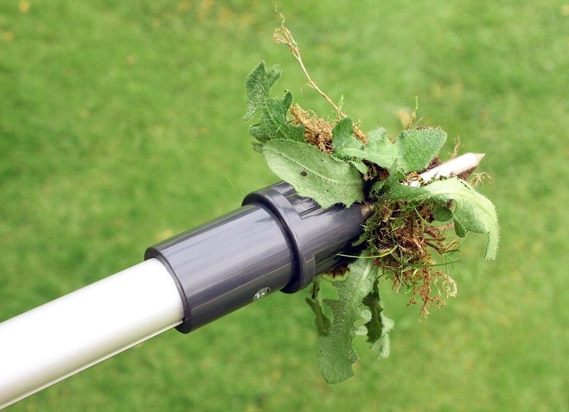 A Guide To Finding The Best Weed Puller On The Market