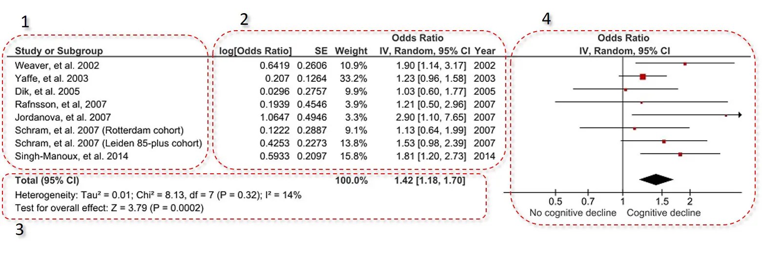 What Is A Forest Plot And How To Read Them? Top Tip Bio