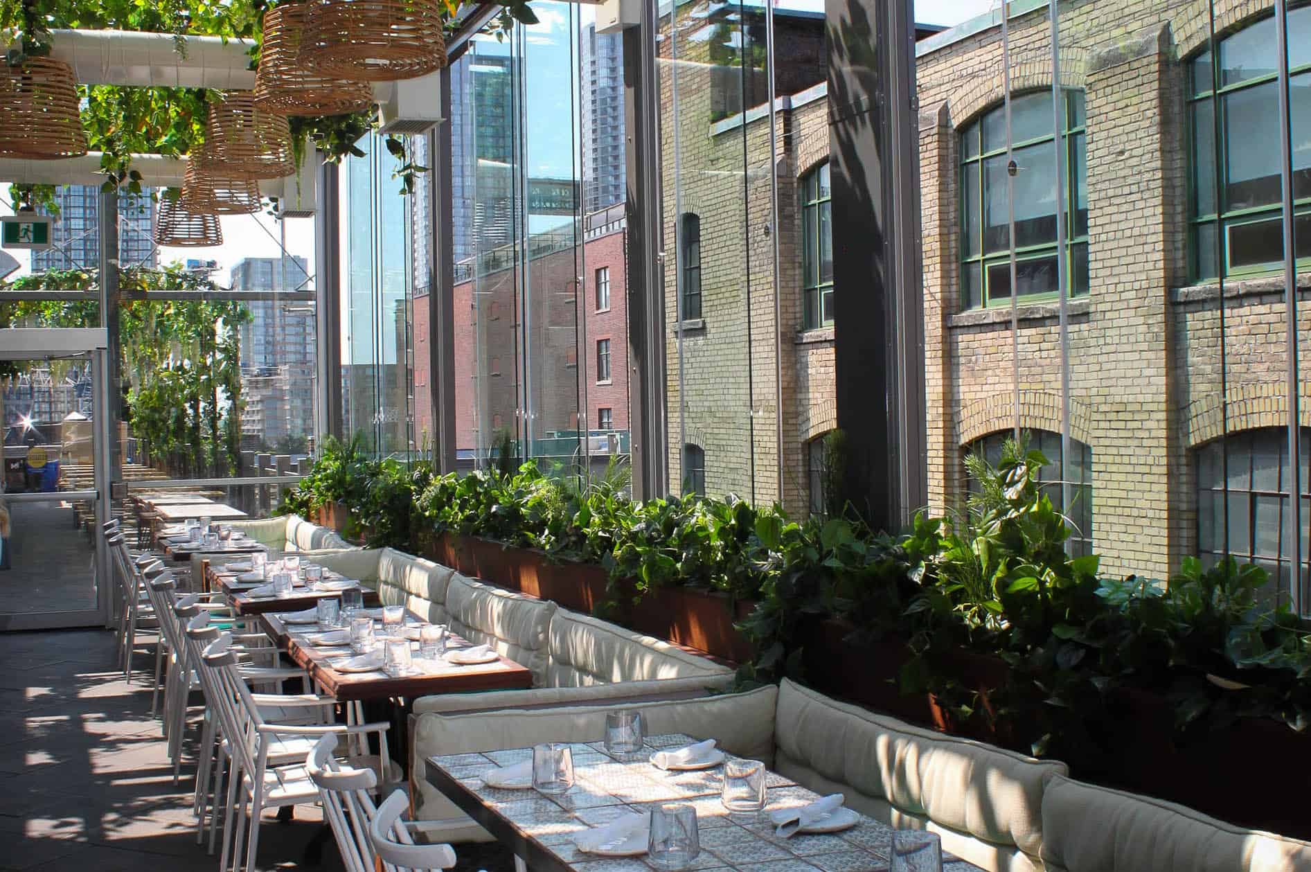 Baro Patio Toronto Clubs In Toronto