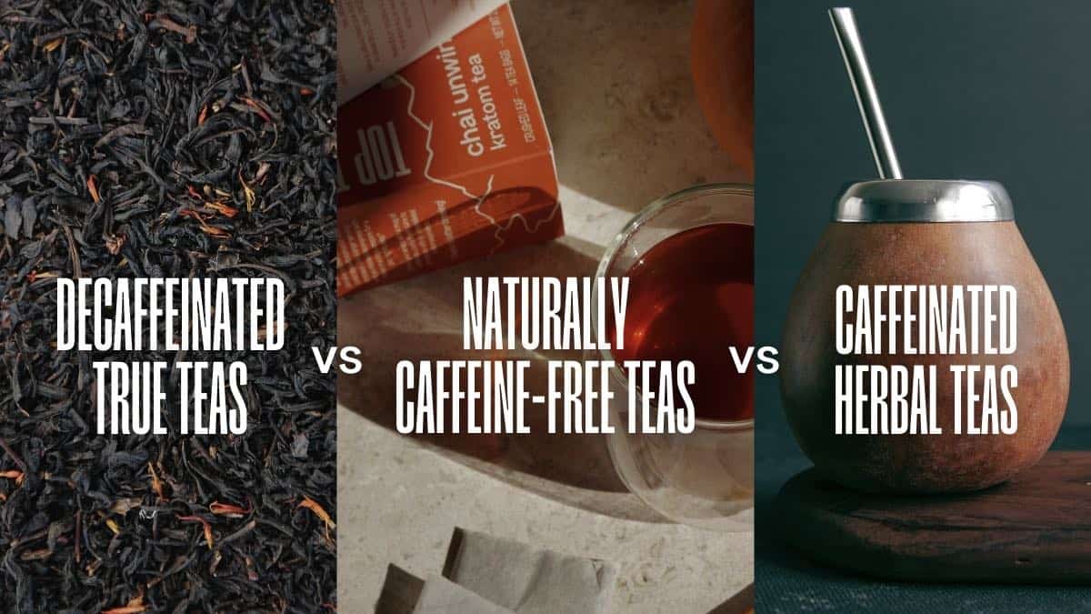 Does Herbal Tea Have Caffeine? Learn How to Select the Best One