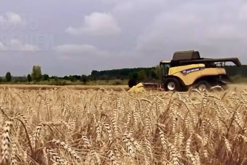French authorities have proposed a land option for the export of grain