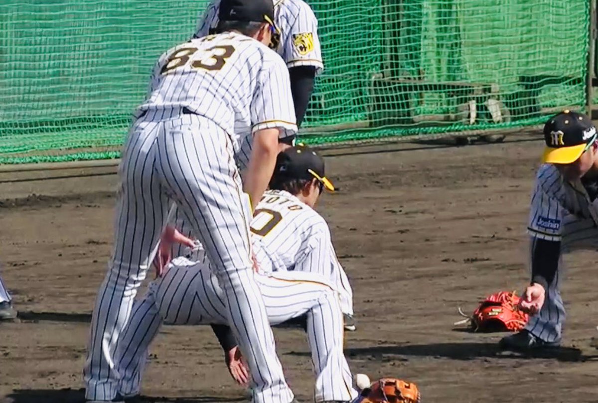 阪神タイガース秋季キャンプ＠安芸⚾20191031 トラニュース 阪神タイガース応援ファンサイト