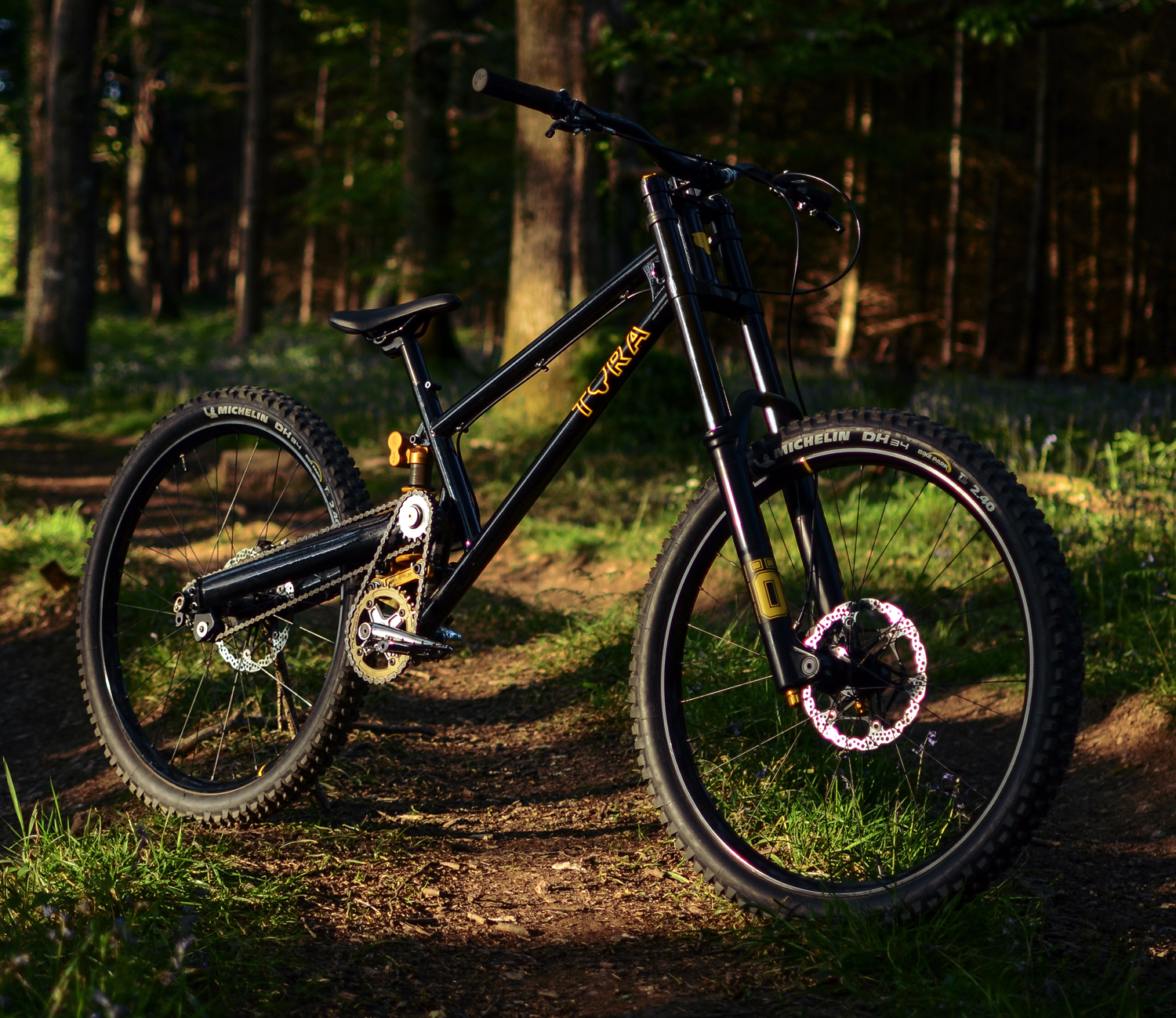 EVH Steel Downhill Mountain Bike Frame Tora Cycles