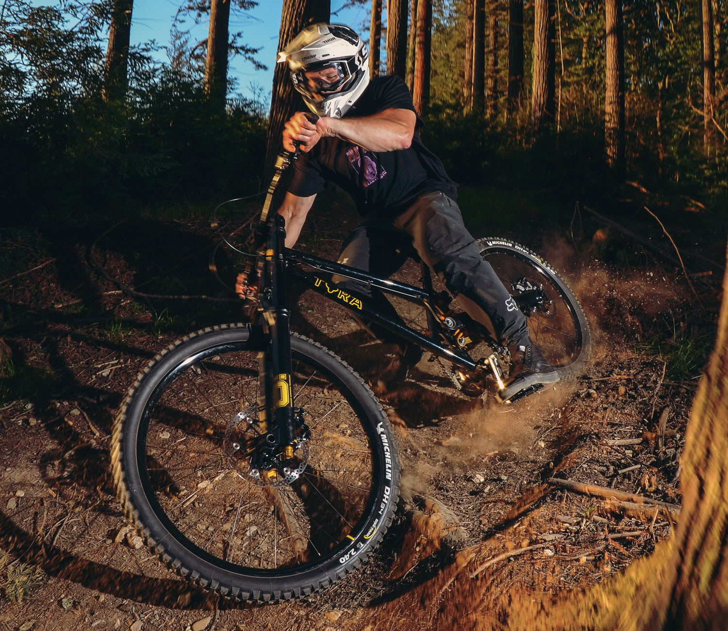 EVH Steel Downhill Mountain Bike Frame Tora Cycles