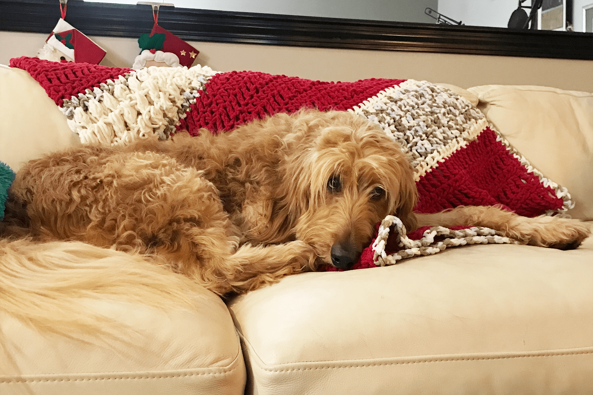 Cleaning a Leather Couch with Dove Soap Stepbystep Guide