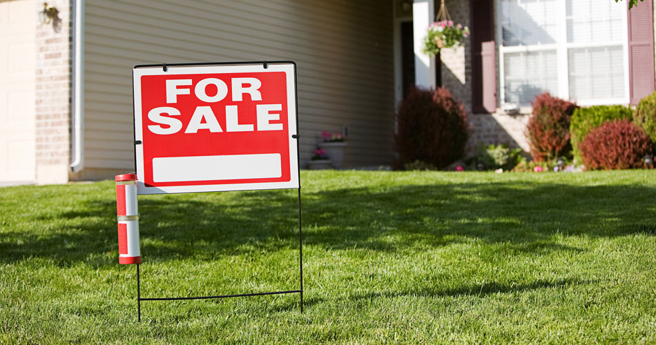 Services TorchLight Home Inspections