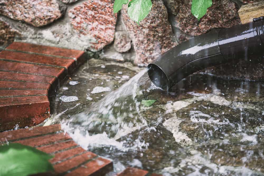 How to Improve Lawn Drainage 6 Tips to Prevent A Soggy Yard