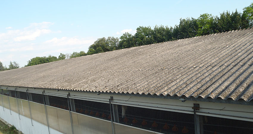 come smaltire eternit gratis 2023 Rimozione E Smaltimento Amianto/Eternit Udine - Torcutti Coperture