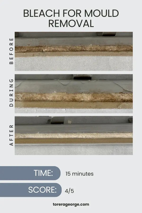 Mould in Tile Grout? I Tested How to Remove It for Good Torera