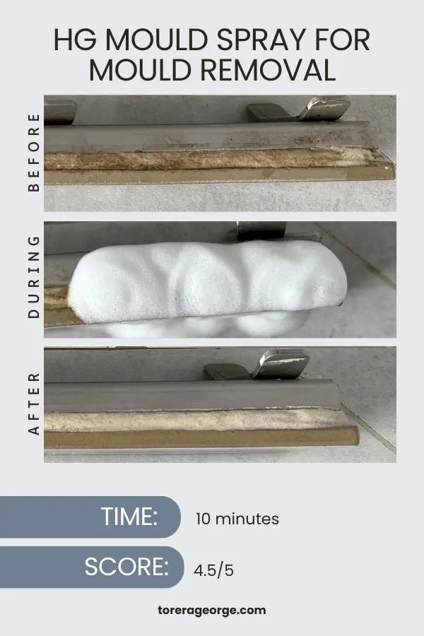 Mould in Tile Grout? I Tested How to Remove It for Good Torera