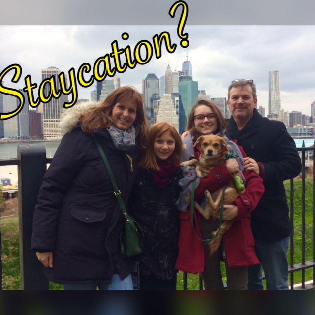 Staycation Ideas for Winter Break in NYC Torly Travels