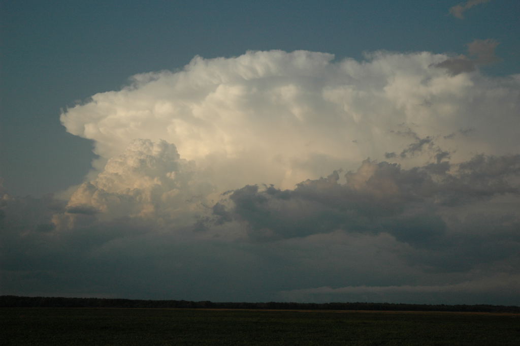 Thief River Falls, MN, August 5, 2006