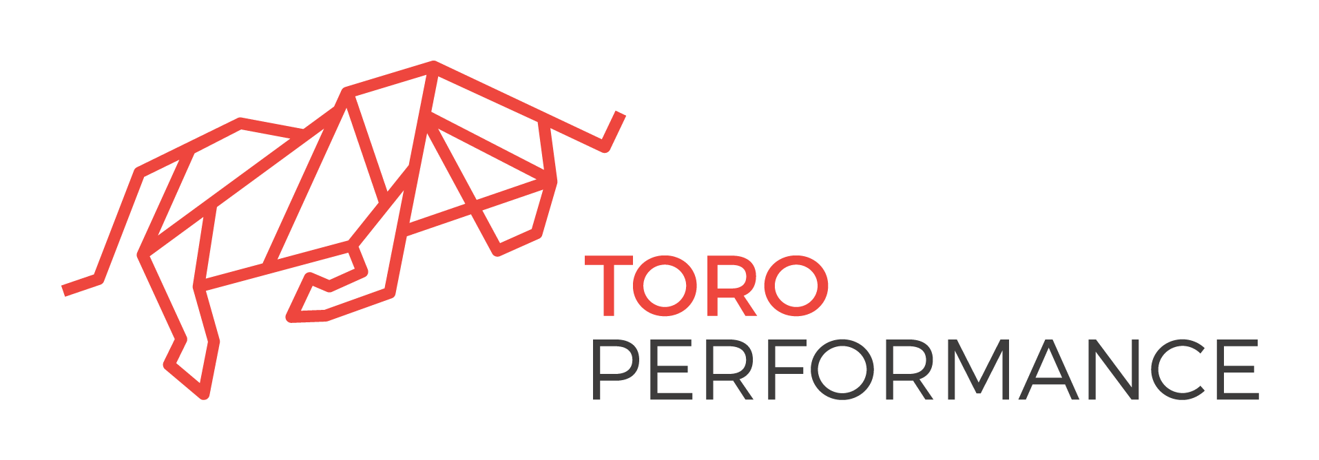 Archiwum Layouts Toro Performance