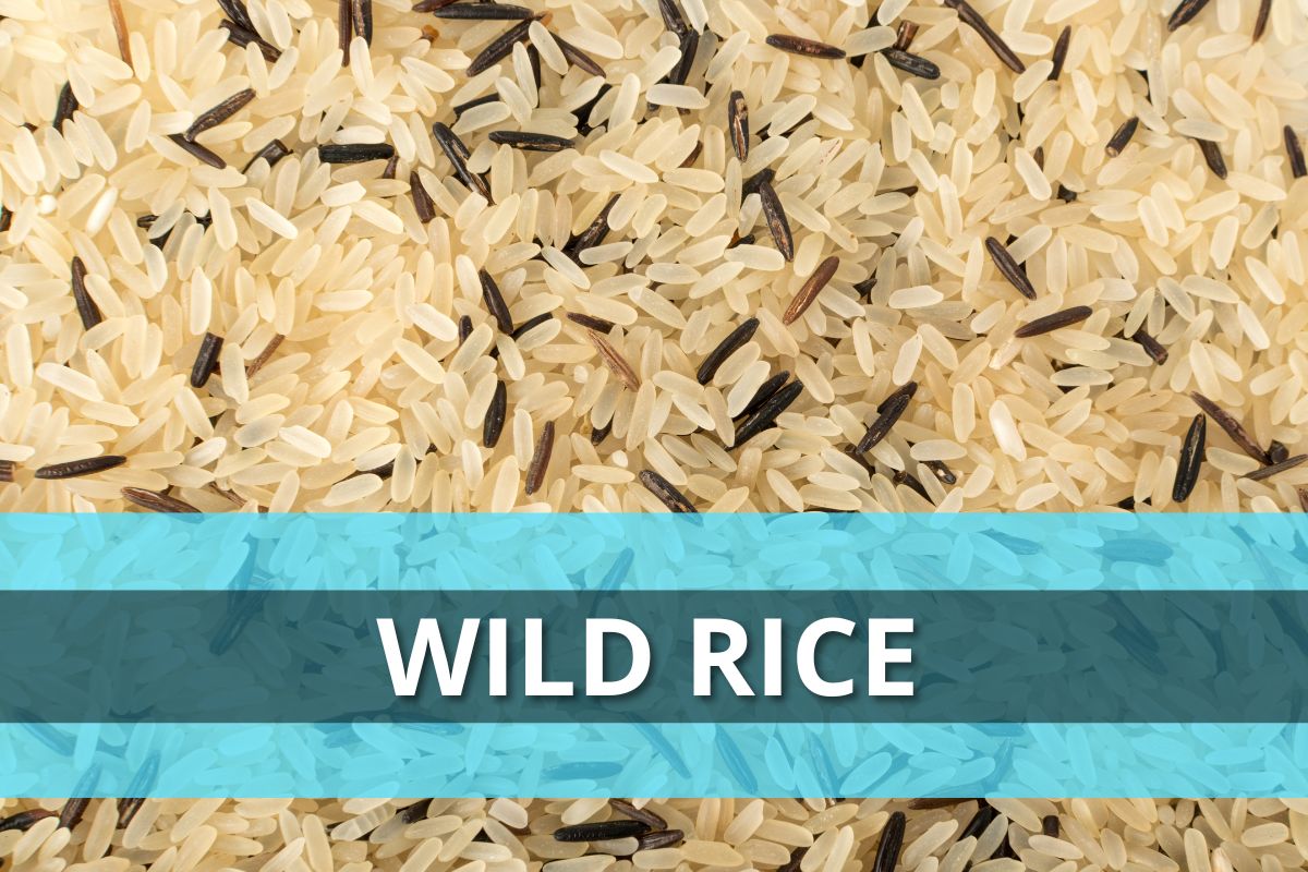Wild Rice Torokhtiy Weightlifting