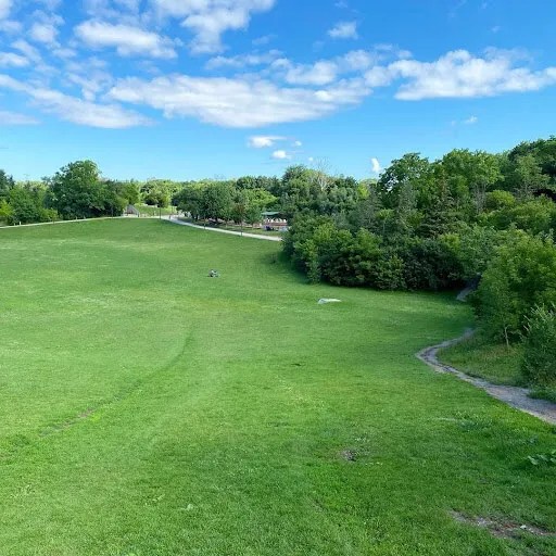 Cedarvale Park
