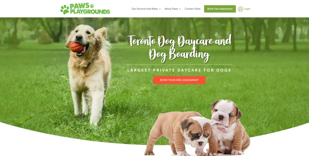 The 6 Best Dog Daycares in Toronto [2023]