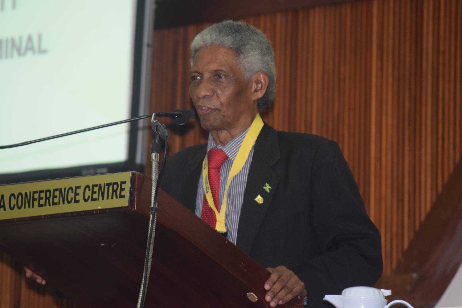 Jamaican Diaspora Presents New Crime Prevention Strategies At