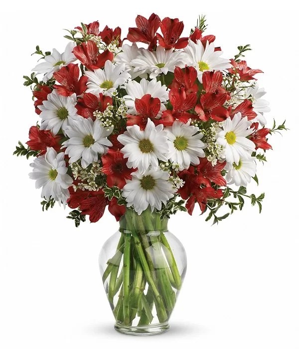 Petrine Mikaelsen Send Flowers Toronto Free Delivery Exotic flowers