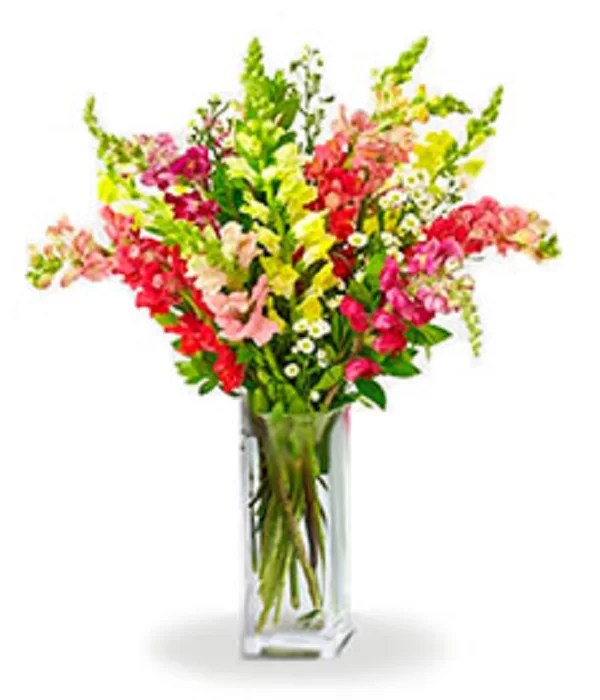 Charming Autumn Online Flower Delivery Toronto Send Flowers by Best Florist in Toronto
