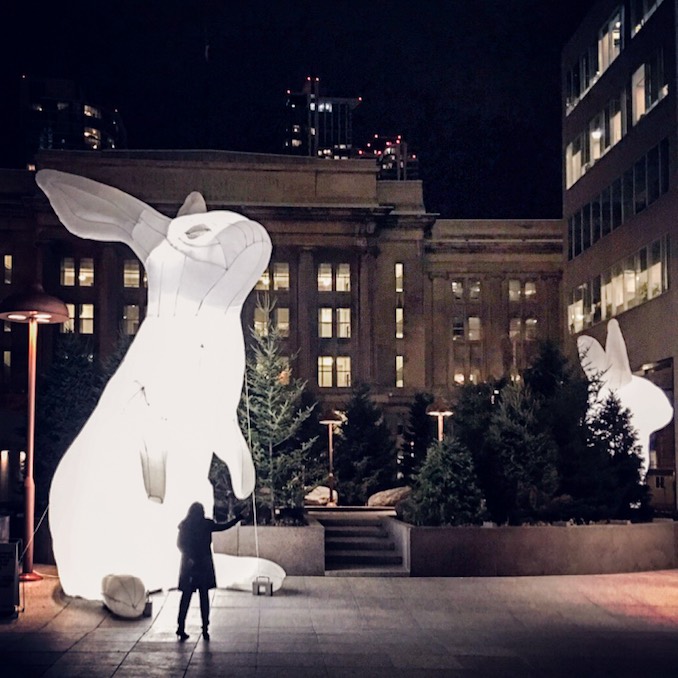 Artist Amanda Parer's Intrusive Giant Rabbits In Toronto