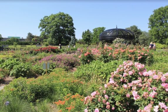 The History of the Royal Botanical Gardens
