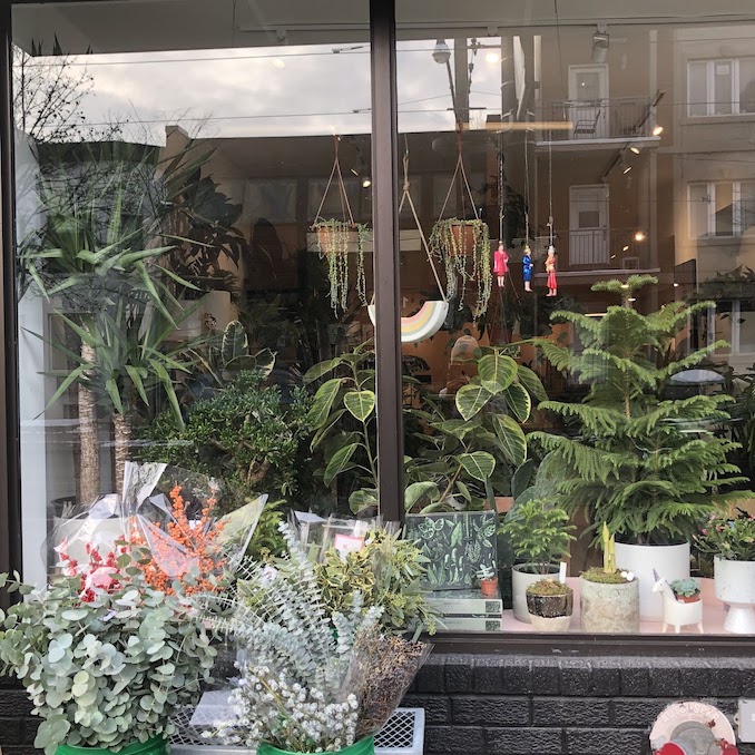 The Best Indoor Plant Stores in Toronto by Neighbourhood