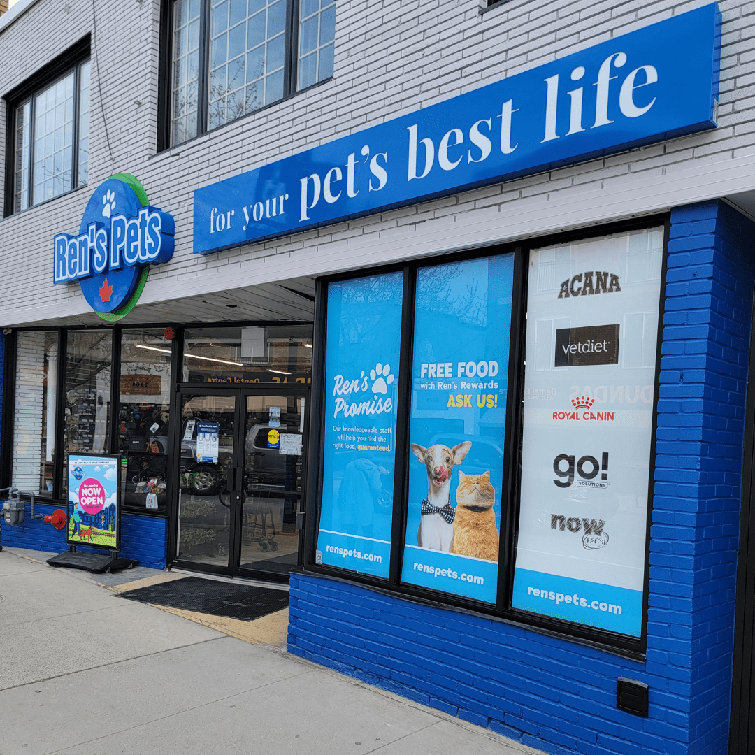 June 2023 Ren's Pets THE JUNCTION BIA