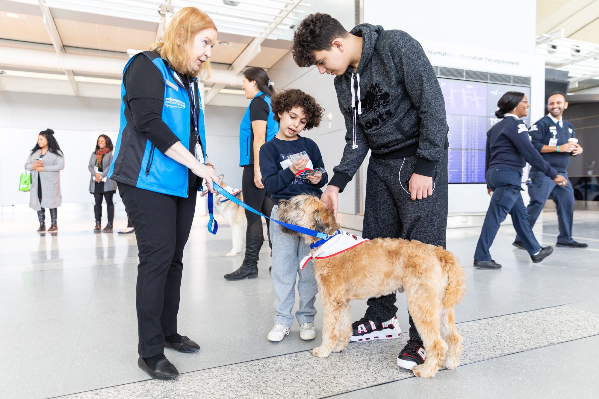Meet Pearson Airport's new therapy dogs