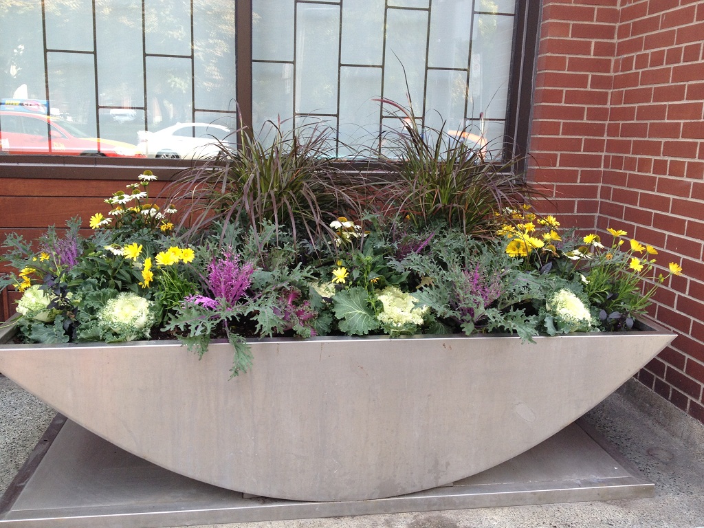 Toronto Planters by Grace Lewicki Autumn Planter