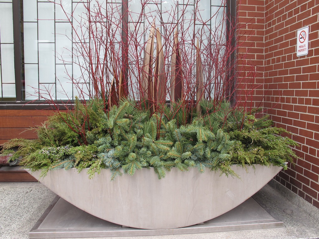 Toronto Planters by Grace Lewicki Modern Winter Planter