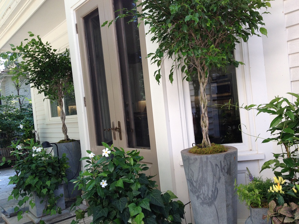 Toronto Planters by Grace Lewicki Backyard Planters