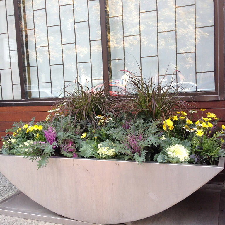 Toronto Planters by Grace Lewicki Autumn Planter