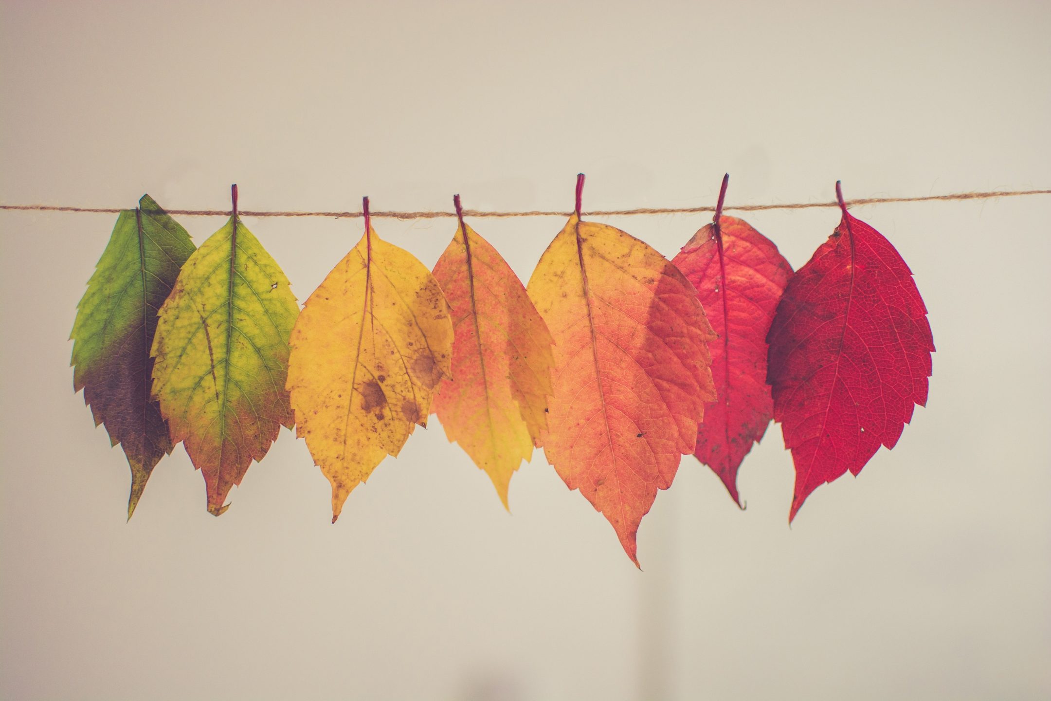 Factors Affecting The Fall Real Estate Market Toronto Realty Blog