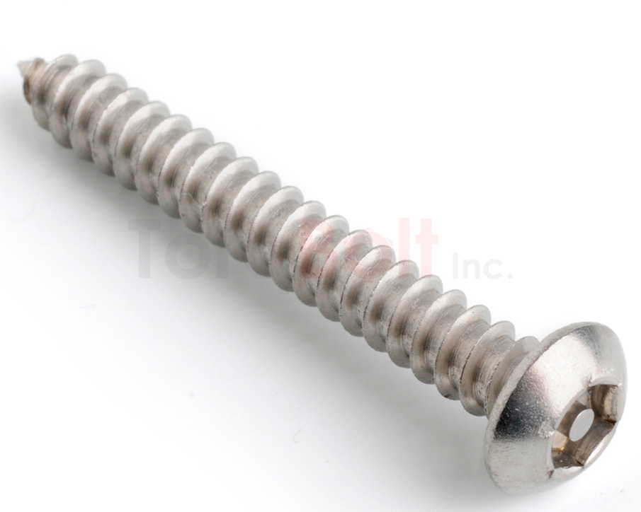 Security Screws Manufacturer & Supplier India