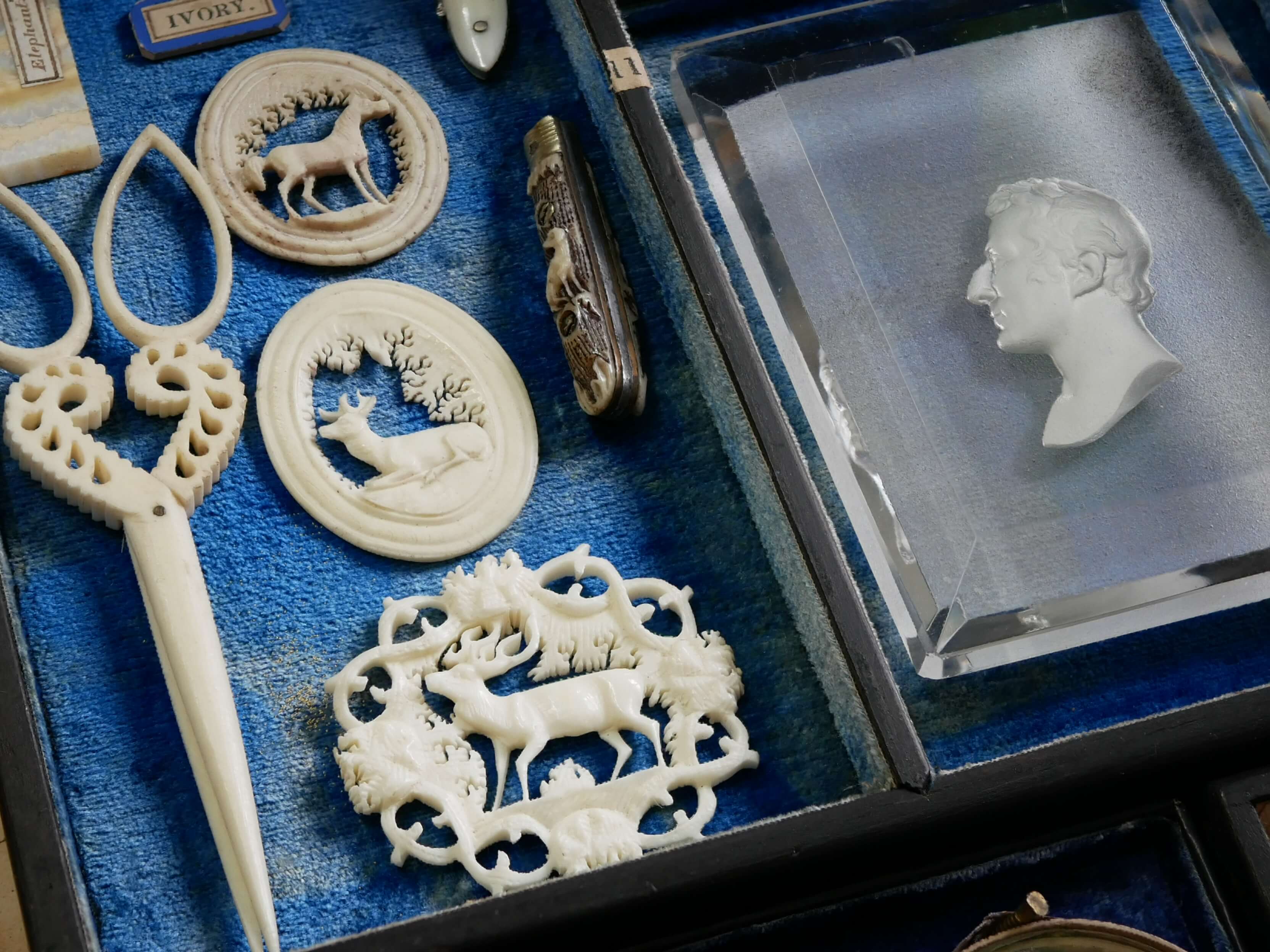 Collections Spotlight