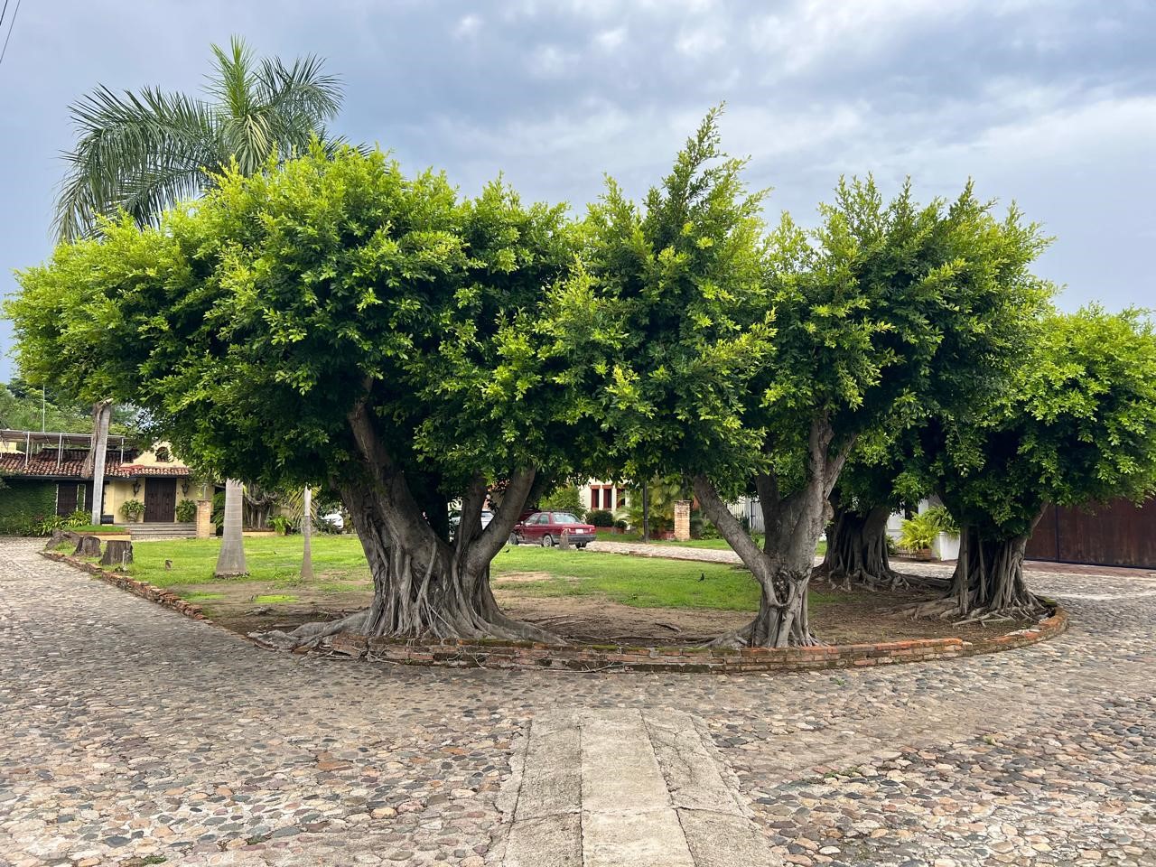 Featured Golden Torres Realty