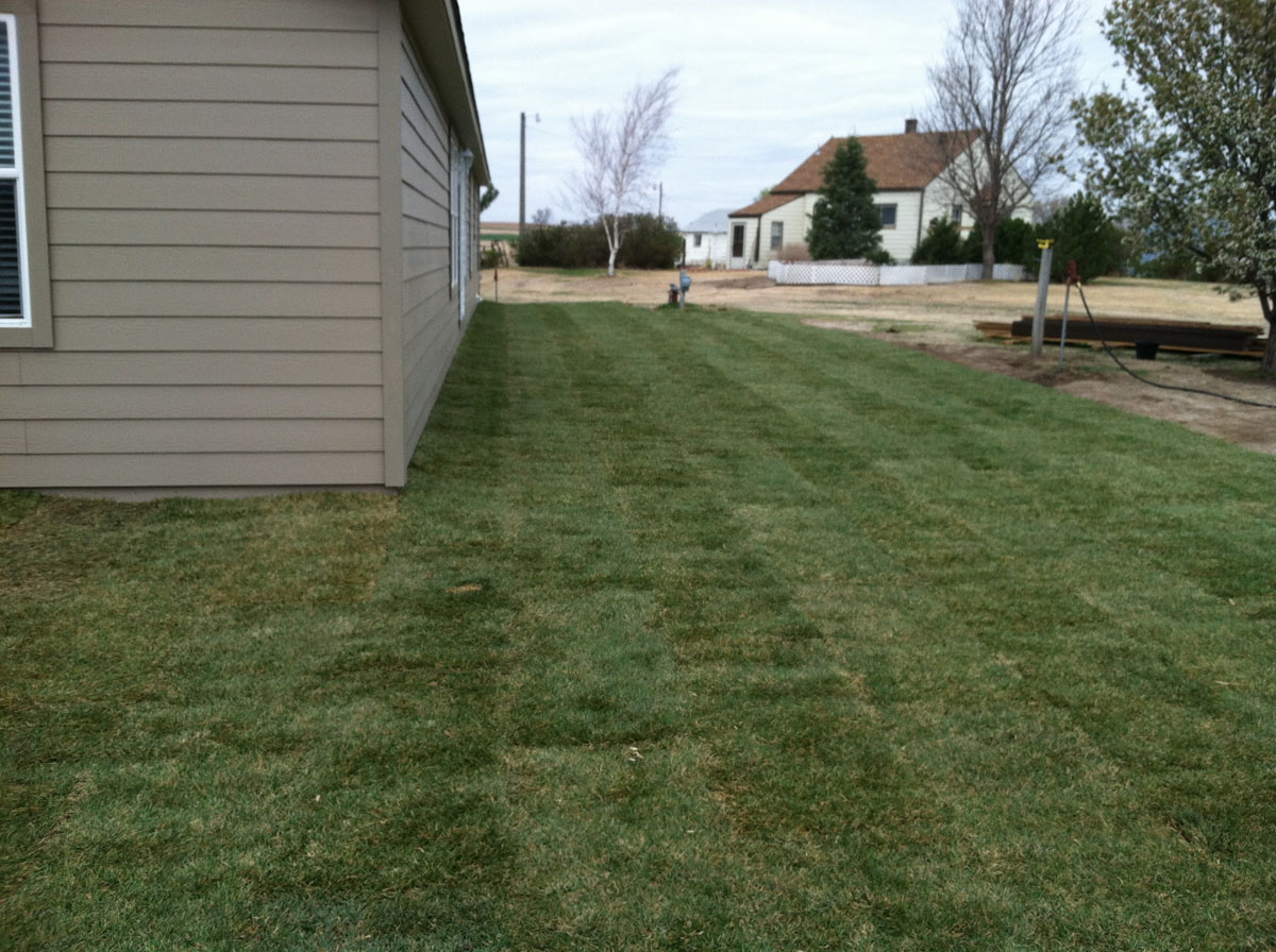 Photo Gallery Torrington Sod Farms