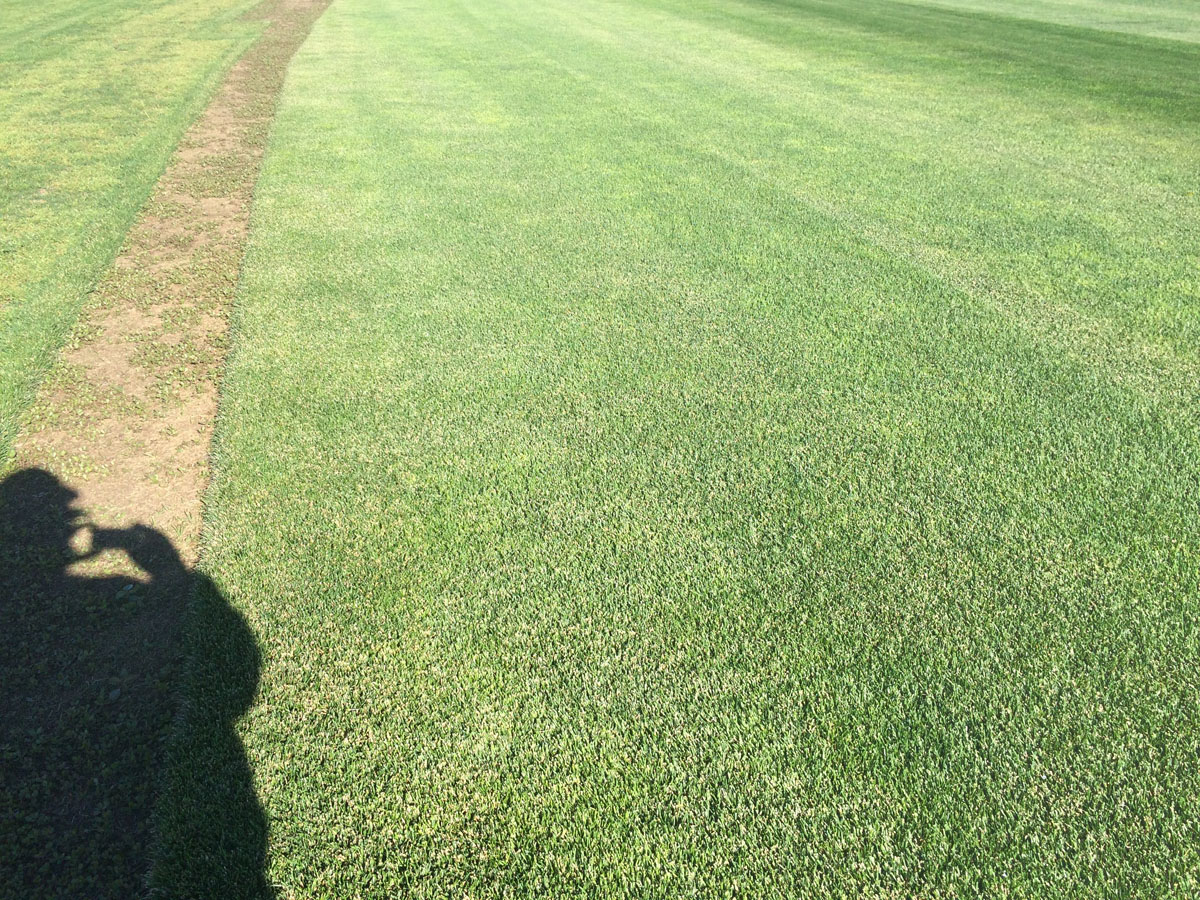 Photo Gallery Torrington Sod Farms