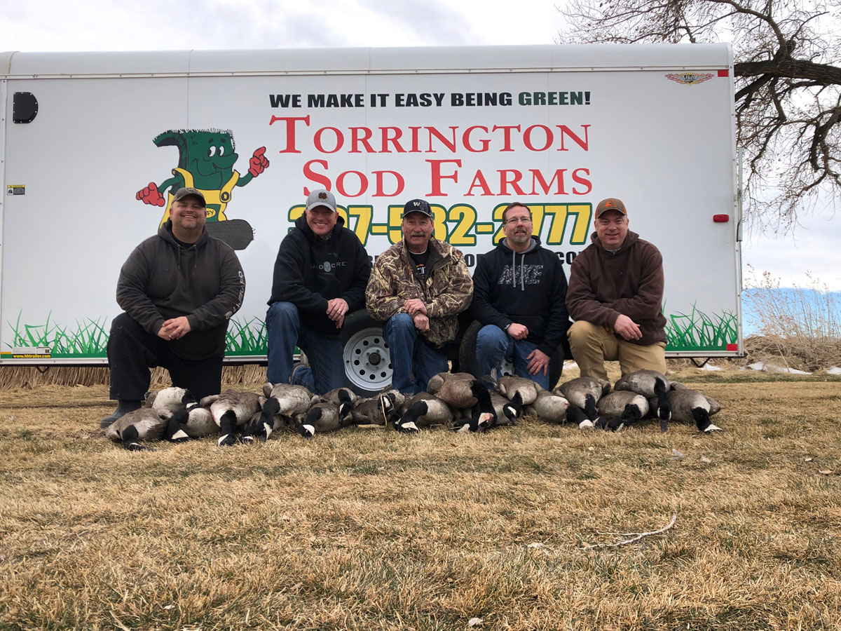 Photo Gallery Torrington Sod Farms