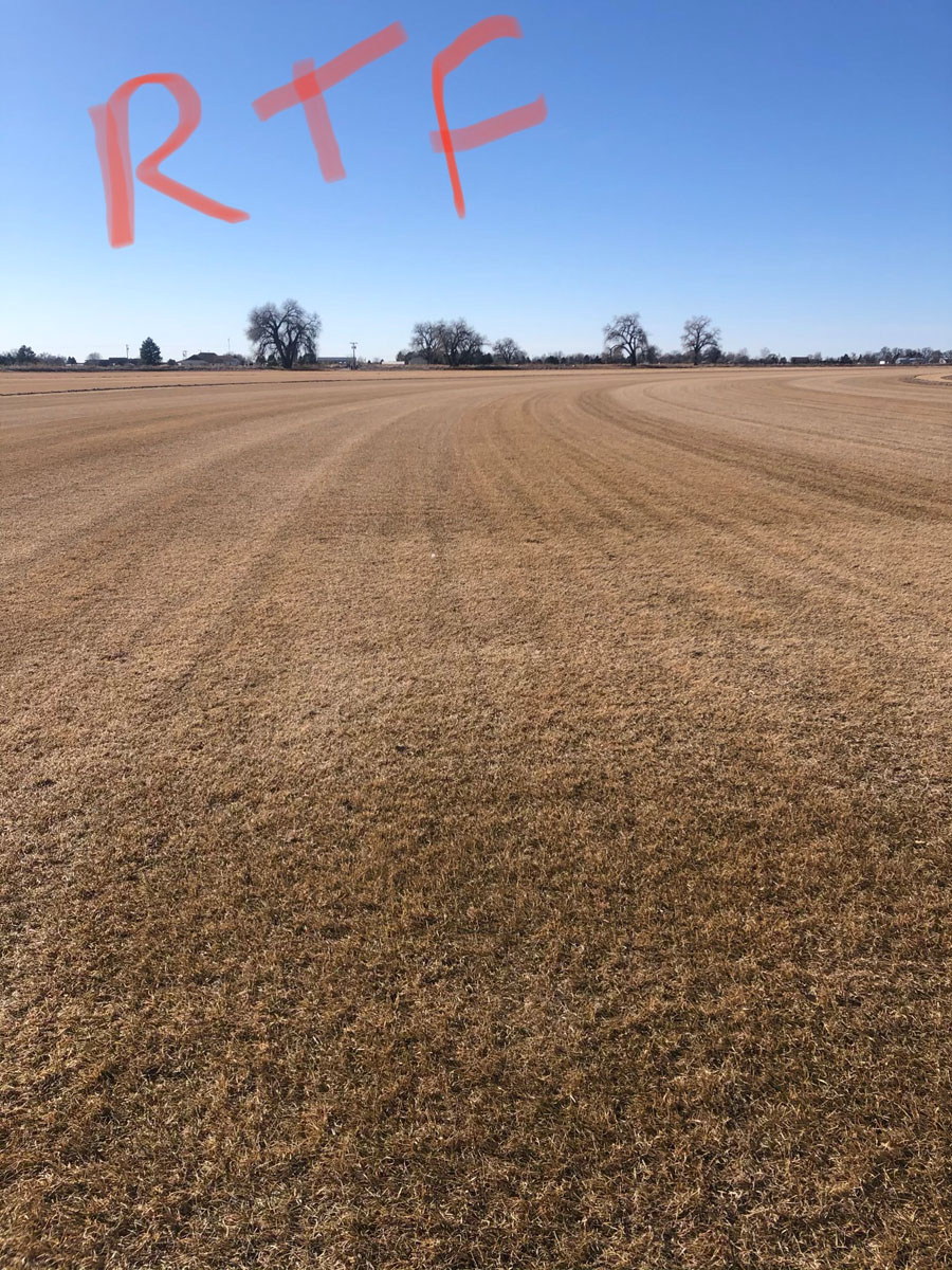 Photo Gallery Torrington Sod Farms