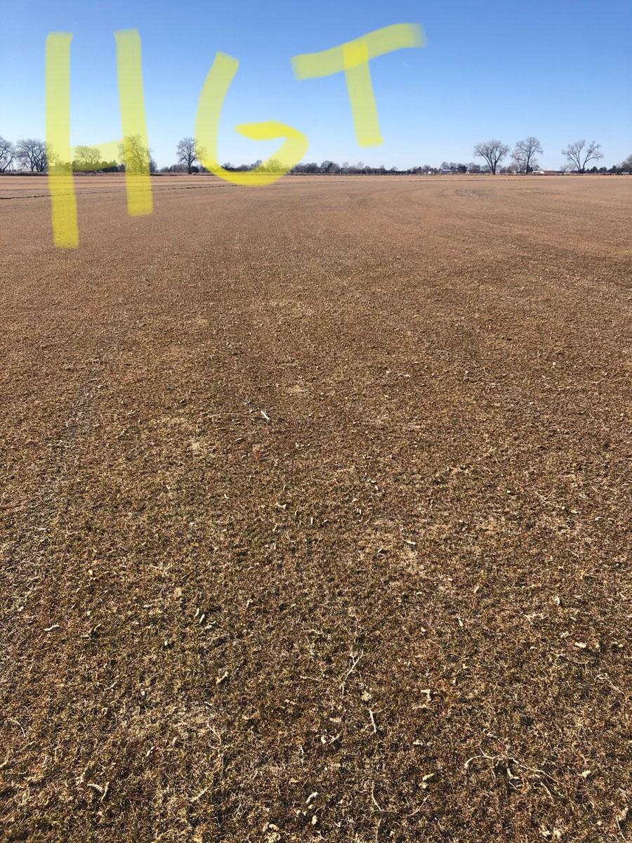 Photo Gallery Torrington Sod Farms