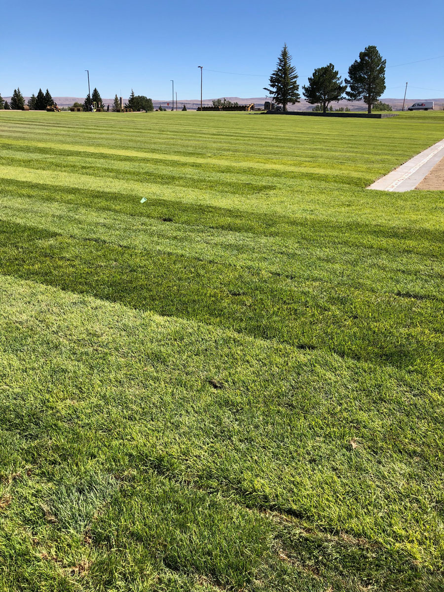 Photo Gallery Torrington Sod Farms