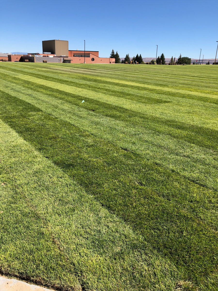 Photo Gallery Torrington Sod Farms