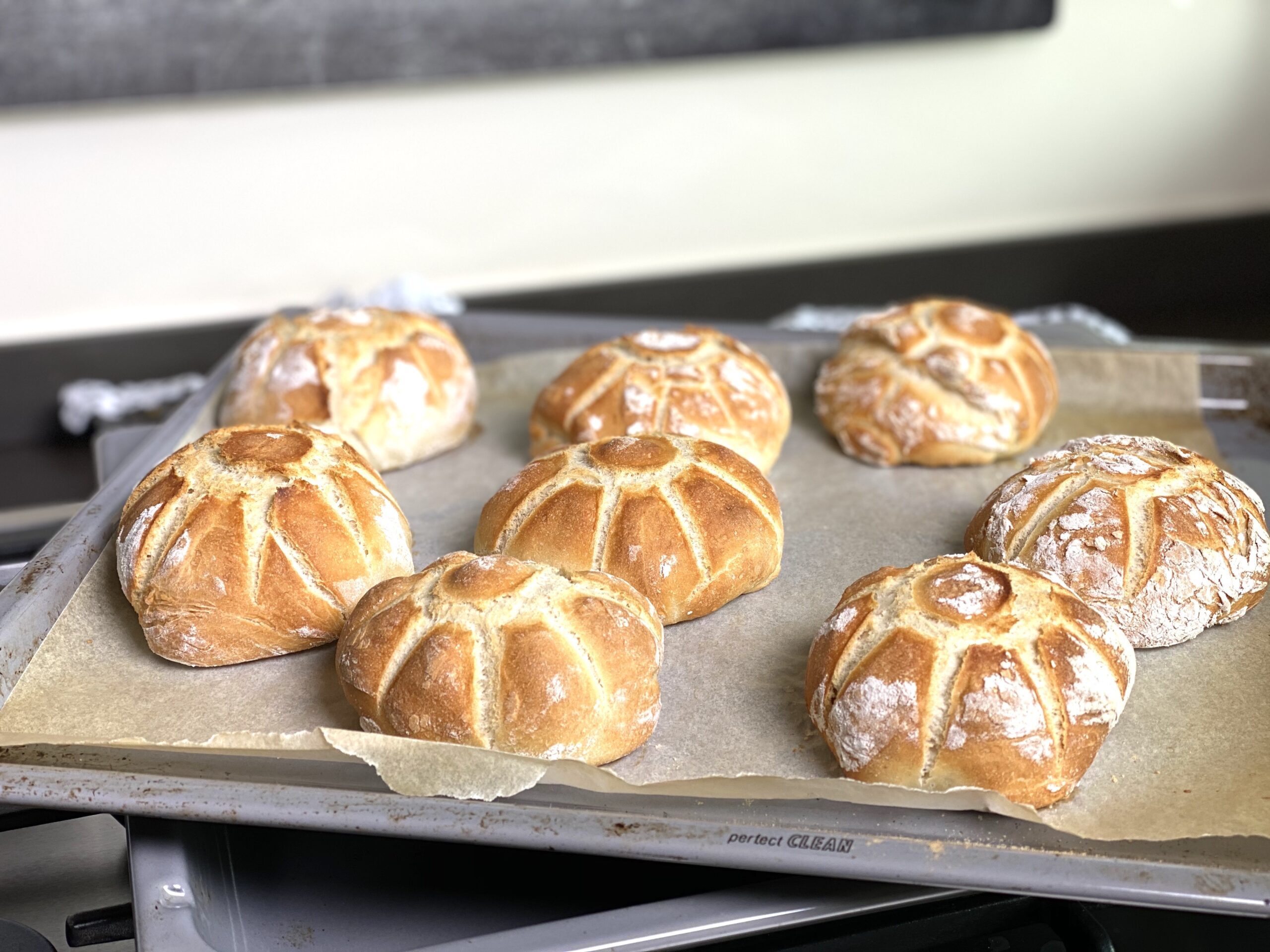 Brötchen tortacarotta.de